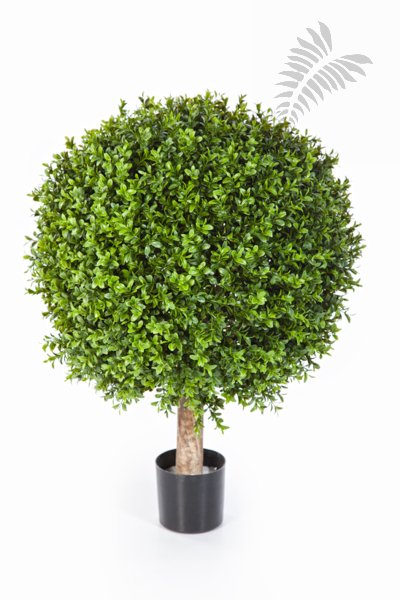 BOXWOOD BALL 60 cm 44560N