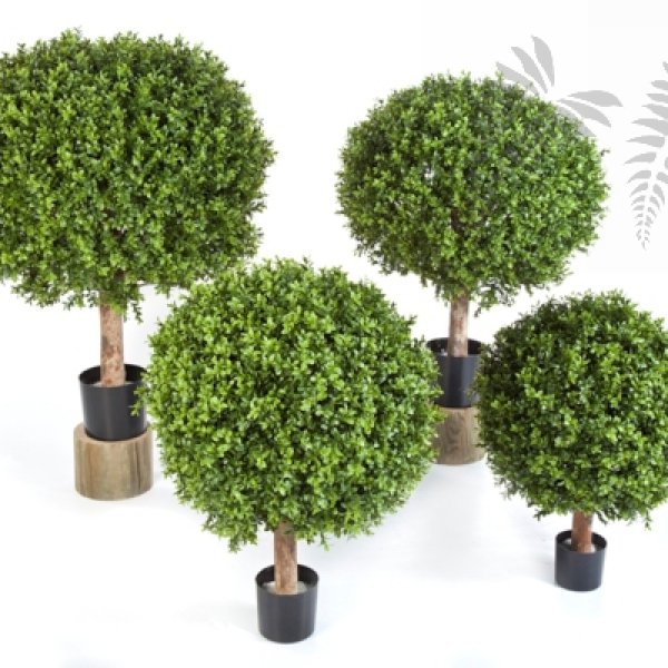 BOXWOOD BALL 70 cm 44570N