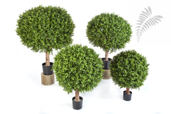 BOXWOOD BALL 70 cm 44570N