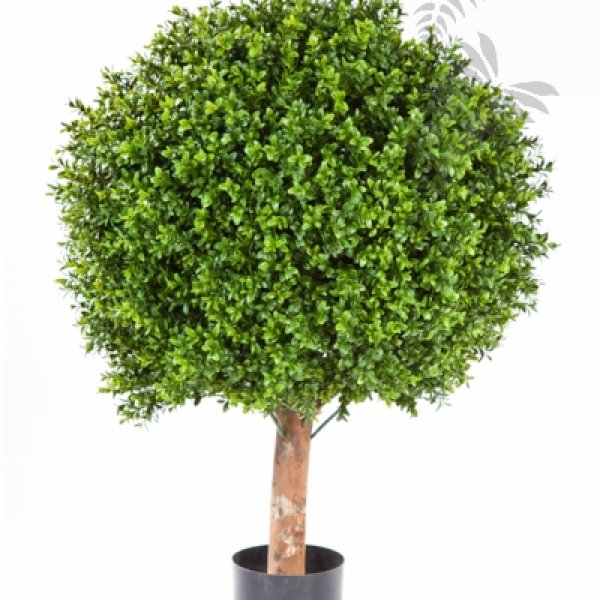 BOXWOOD BALL 80 cm 44580N