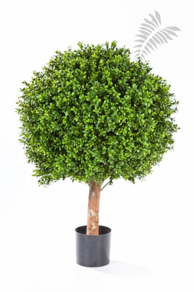 BOXWOOD BALL 80 cm 44580N