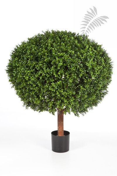 BOXWOOD BALL 100 cm 445XXL