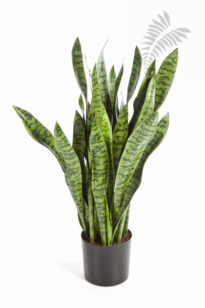 SANSEVERIA 93 cm 6282N