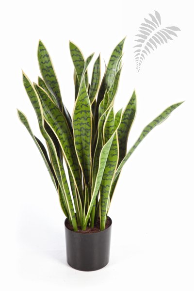 VAR. SANSEVERIA 93 cm 6282NG