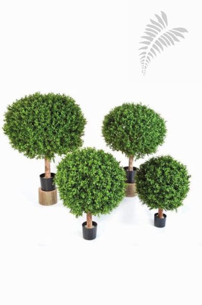 BOXWOOD BALL 40 cm 44540N