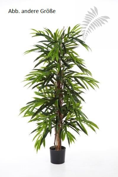 DELUXE LONGIFOLIA TREE 35804N