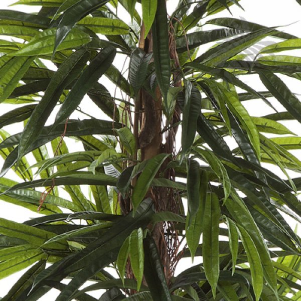 DELUXE LONGIFOLIA TREE 35806N