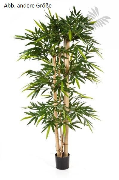 NEW GIANT BAMBOO TREE 35310N