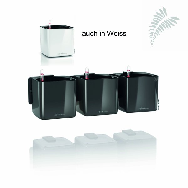 Green Wall Home KIT Glossy weiss SET -A- 13523