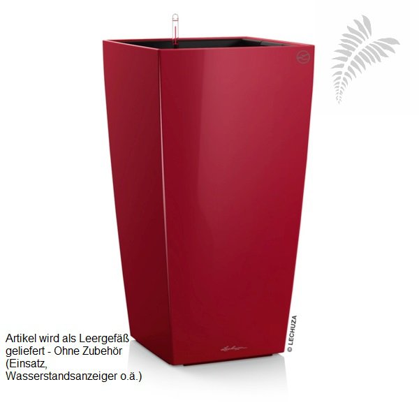 Cubico QU 50 scarlet rot leer -A- 18022