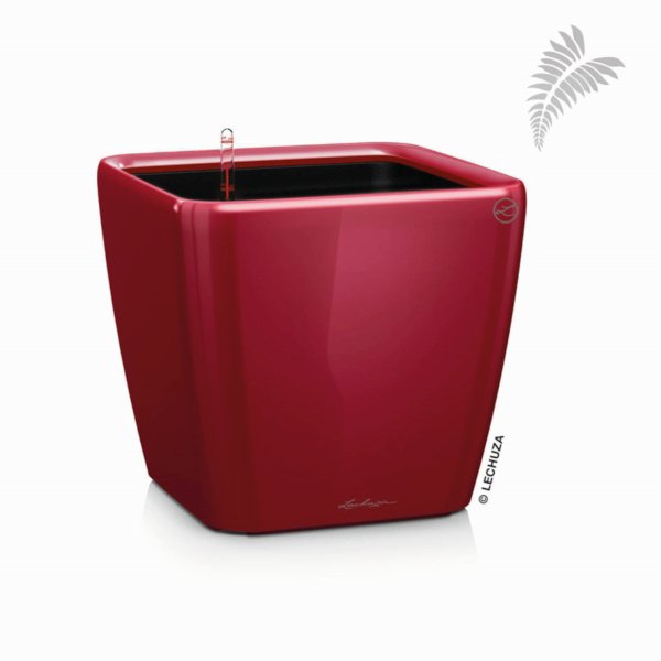 Quadro QU 43 scarlet rot LS-SET -A- 16187