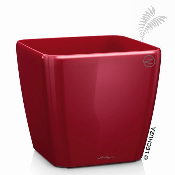 Quadro QU 28 scarlet rot leer -A- 18279 / 30623664