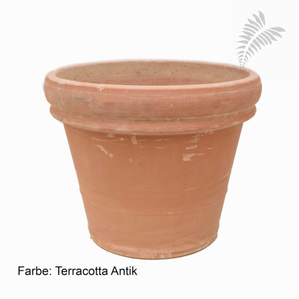 Doppio Bordo RU 55/h49 terra cotta antik 6TDBA5749