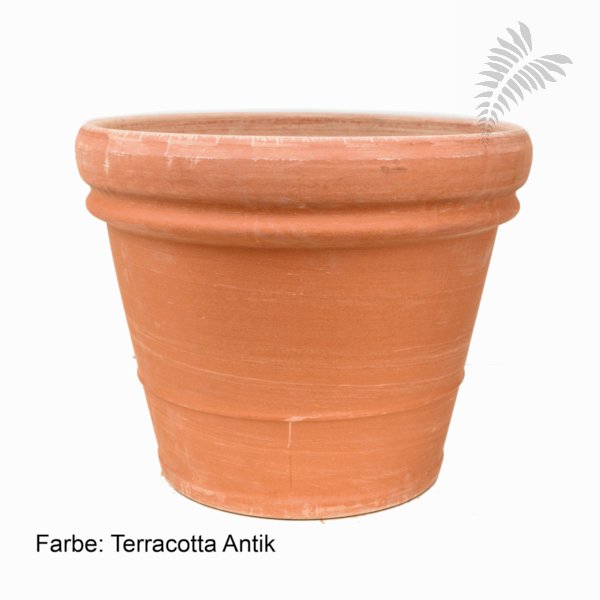 Doppio Bordo RU 65/h57 terra cotta antik 6TDBA6557