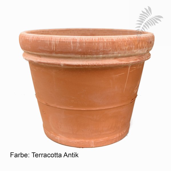 Doppio Bordo RU 76/h58 terra cotta antik 6TDBA7658