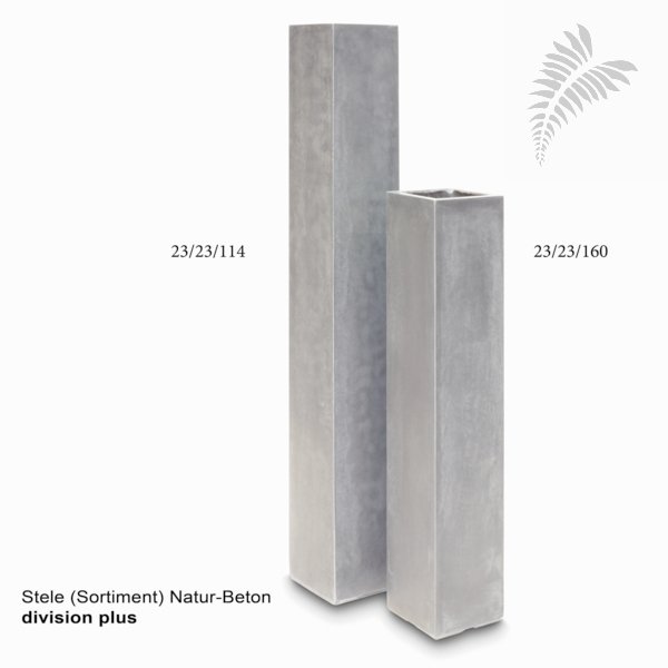 SVR Division plus Stele QU 23/160 nat-be 22355