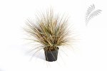 Kunstpflanze Autumn Onion Grass ca. 2468 Blätter 65cm/h
1049A-M