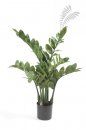 Kunstpflanze Zamioculcas ca. 7 Blätter 70cm/h/116 Blatt
11.661C