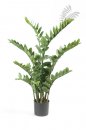 Kunstpflanze Zamioculcas ca. 111 Blätter 100cm/h/220 Blatt
11.662C