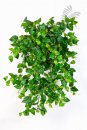 Kunstpflanze Mini Philodendron ca. 560 Blätter 50cm/h
1433N