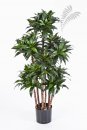 Kunstpflanze Dracaena fragans compacta 120cm/h
37204N