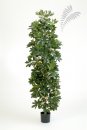 Kunstpflanze Giant Column Schefflera Ø50 180cm/h
38106NW