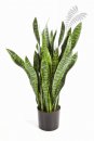 Kunstpflanze Sanseveria green 90cm/h 
6282N