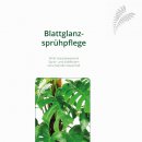 Blattglanz 750ml